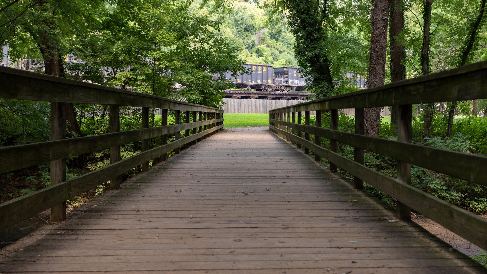 A train rolls on tracks beyond a wooden footbridge in dark woods.