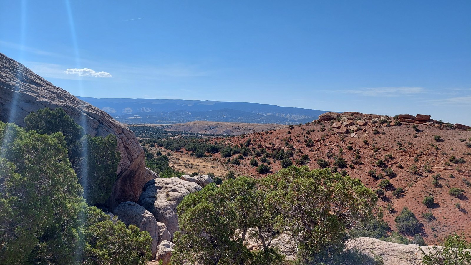 An expansive view atop a beige sandstone ridge with scattered desert shrubs growing throughout.