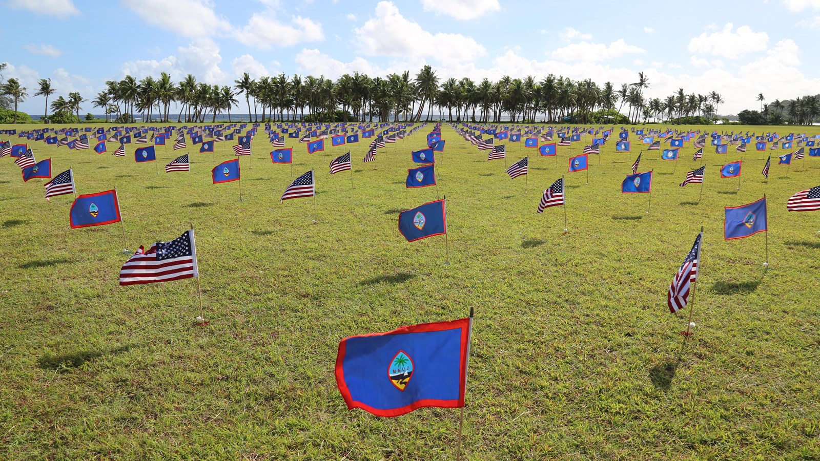 Small Guamanian and American flags lined up in a field. Behind them are palm trees and the ocean.