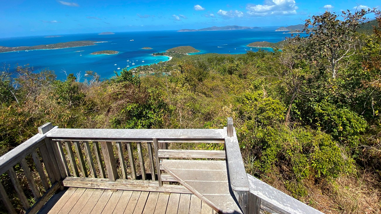 A wooden viewing platform at the top of the hill provides sweeping views of forest and ocean.