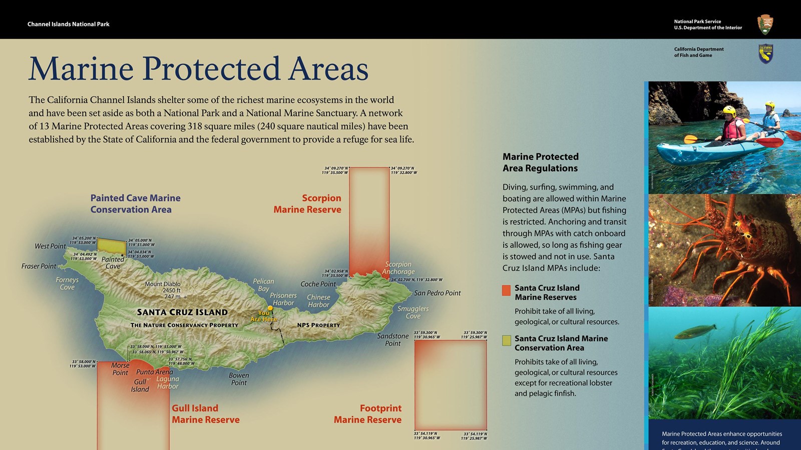 Graphic showing map of island with marine protected zones.