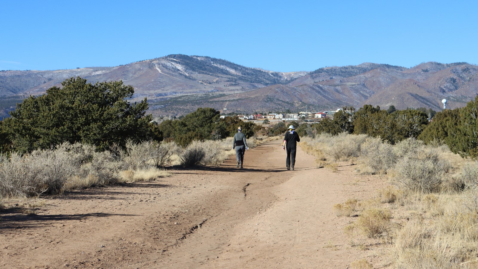 Two people walk along a dirt trail surrounded by shrubbery. 