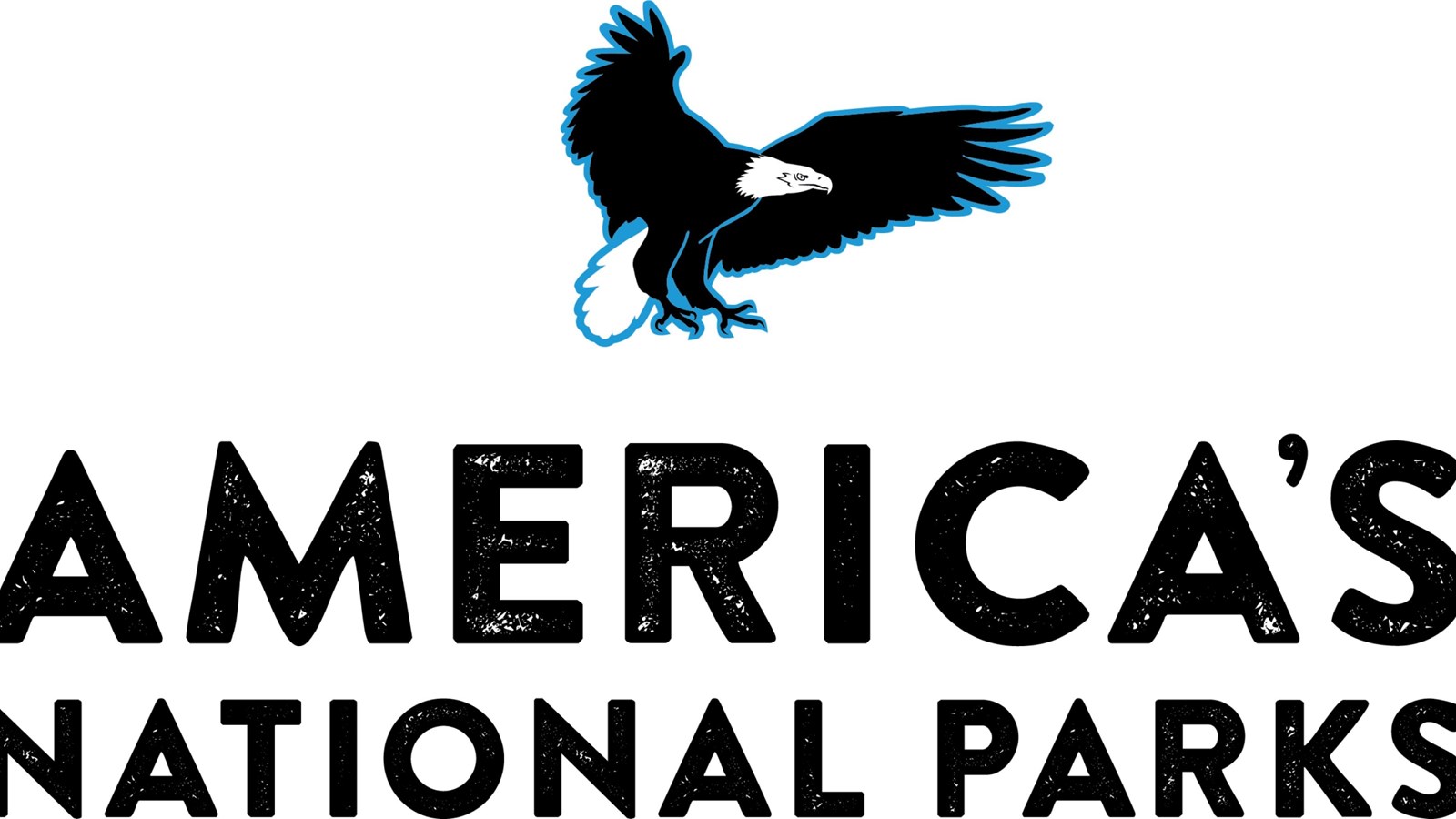 America\'s National Parks Store logo featuring a soaring bald eagle
