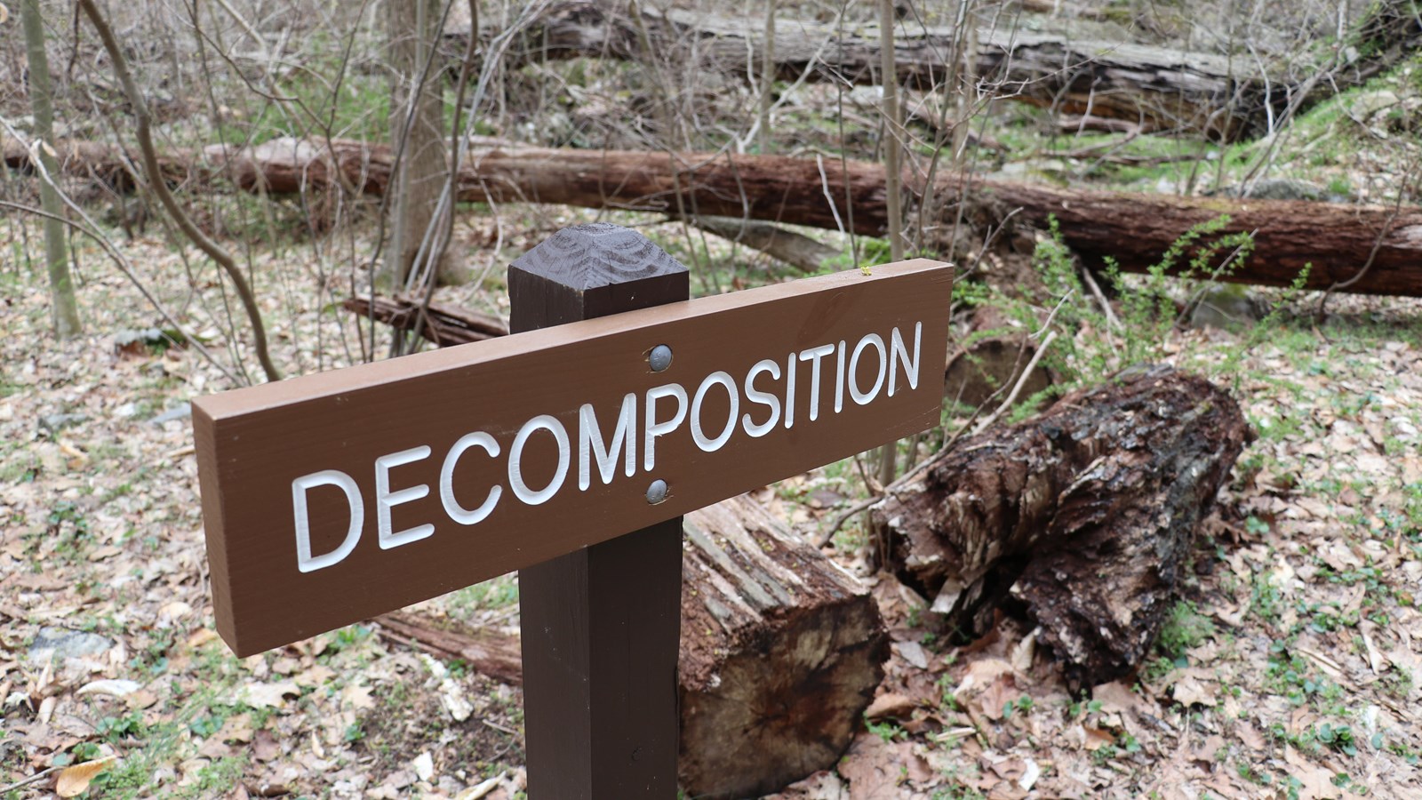 A brown wooden sign reading
