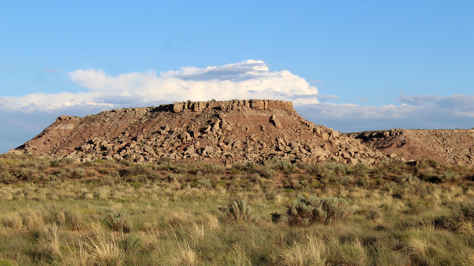 Mesas rising from a grassland under blue skies with a building thunderhead.