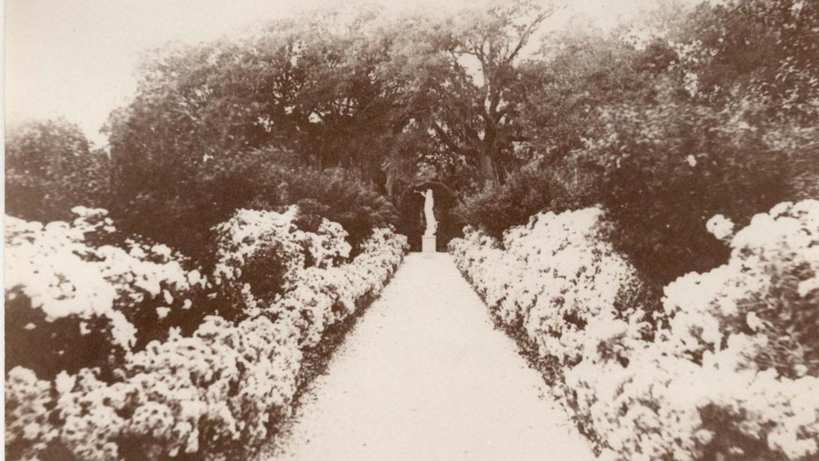 Historic photo of a path lined with ornamental plants with statue of goddess Mercury