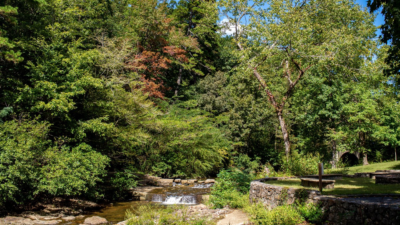 A stone pathway crossed a flowing river with tall trees in the background.