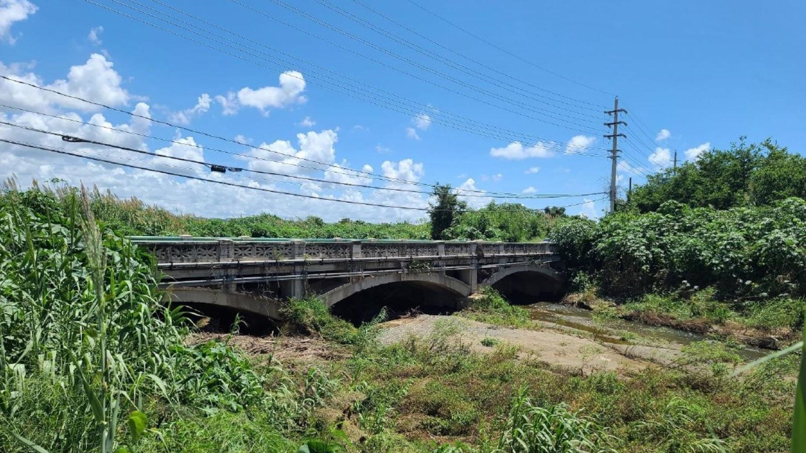 Image of a concrete bridge from a distance. Vegetation surrounds the bridge.