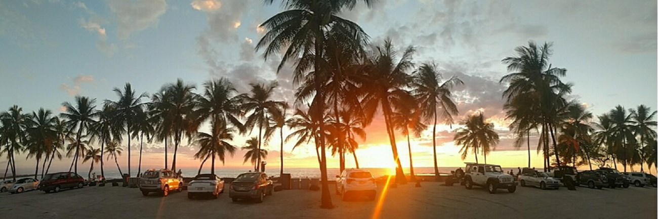 The sun sets behind coconut trees and cars parked in the picnic area as the sky lights up orange.