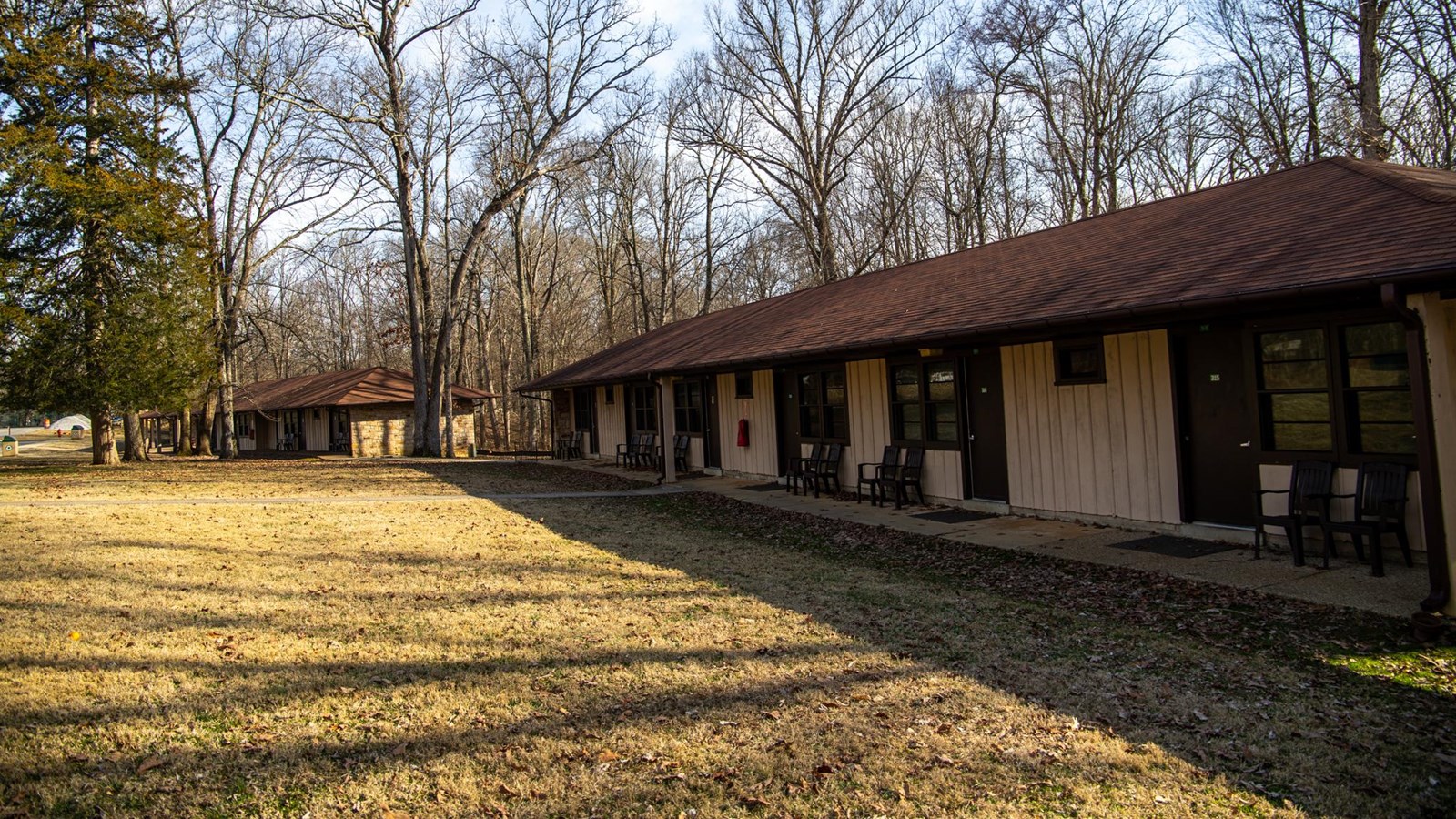 A row of outdoor access hotel rooms nestled beside a forest.