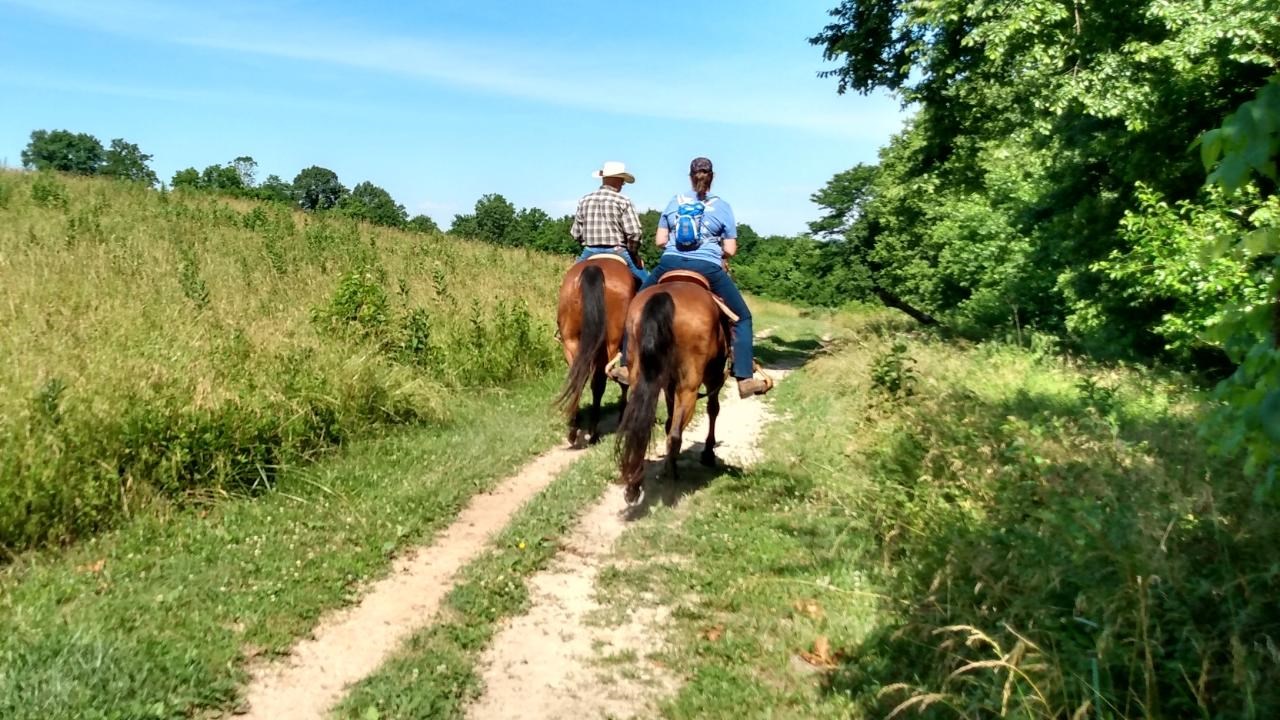 Summer sunshine day in the field of Wilson\'s Creek, 2 people riding horses on designated trails.