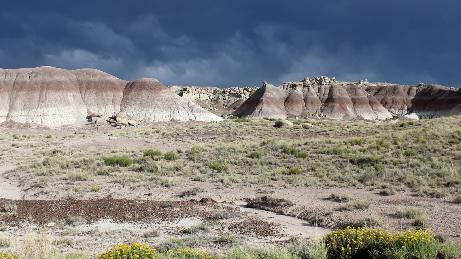 Grassland with petrified wood, badlands in the background under clouds.