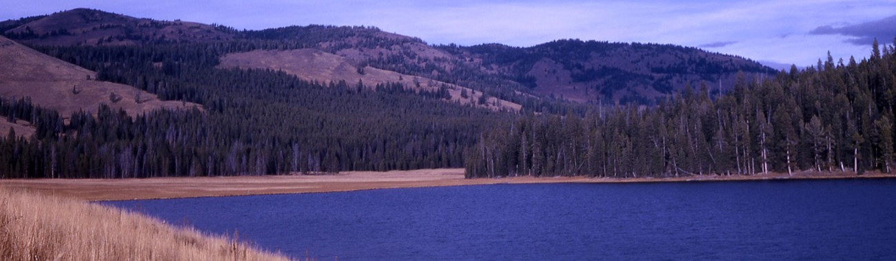 Yellow grass, green trees, and forested mountains surround a blue lake.