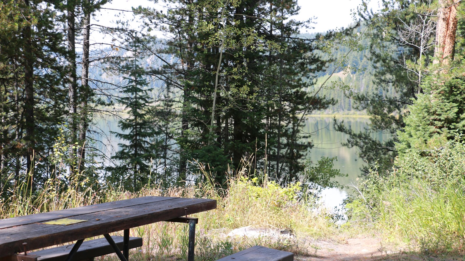 A picnic table sits among trees with a view of a lake. 