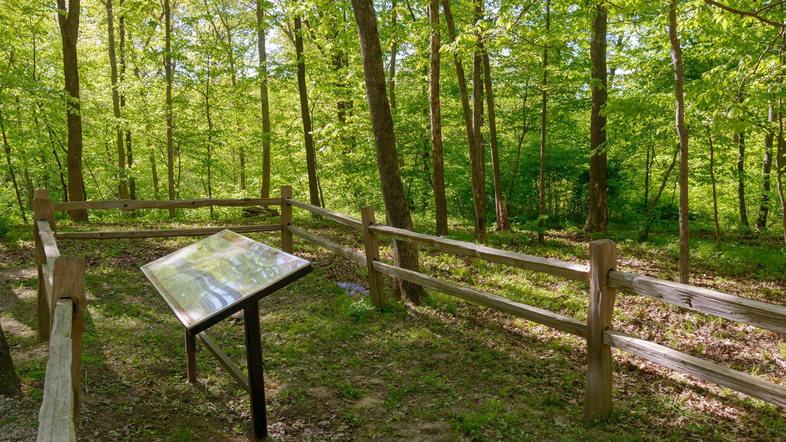 An exhibit sign sits next to some large rocks in a wooded area.