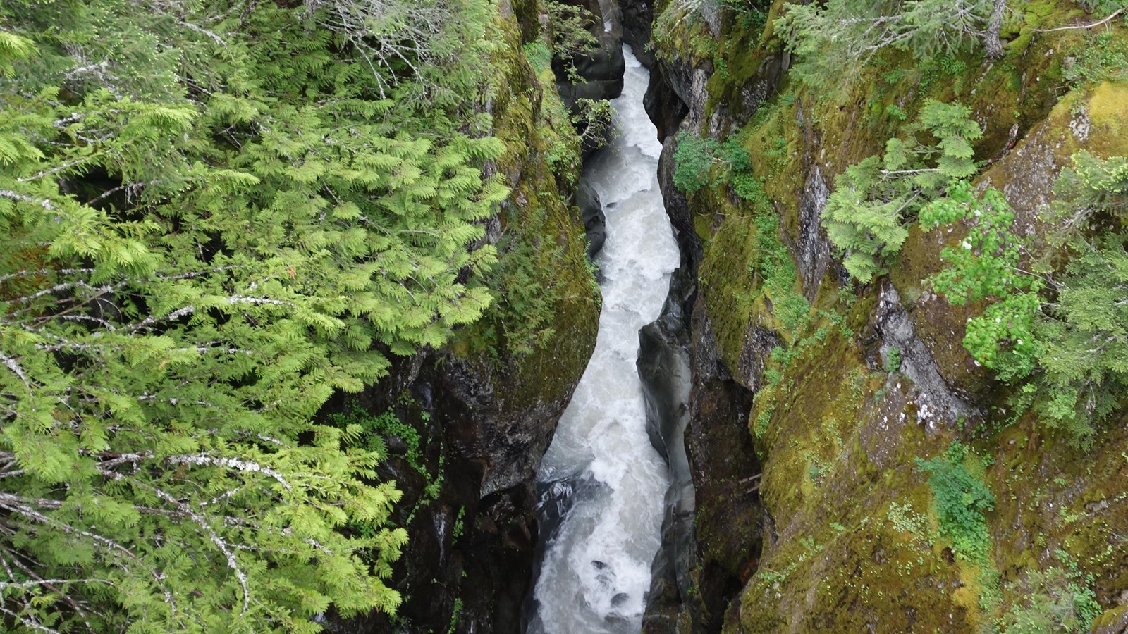 A very narrow canyon, rock walls covered in moss and plants, with a rushing white river.