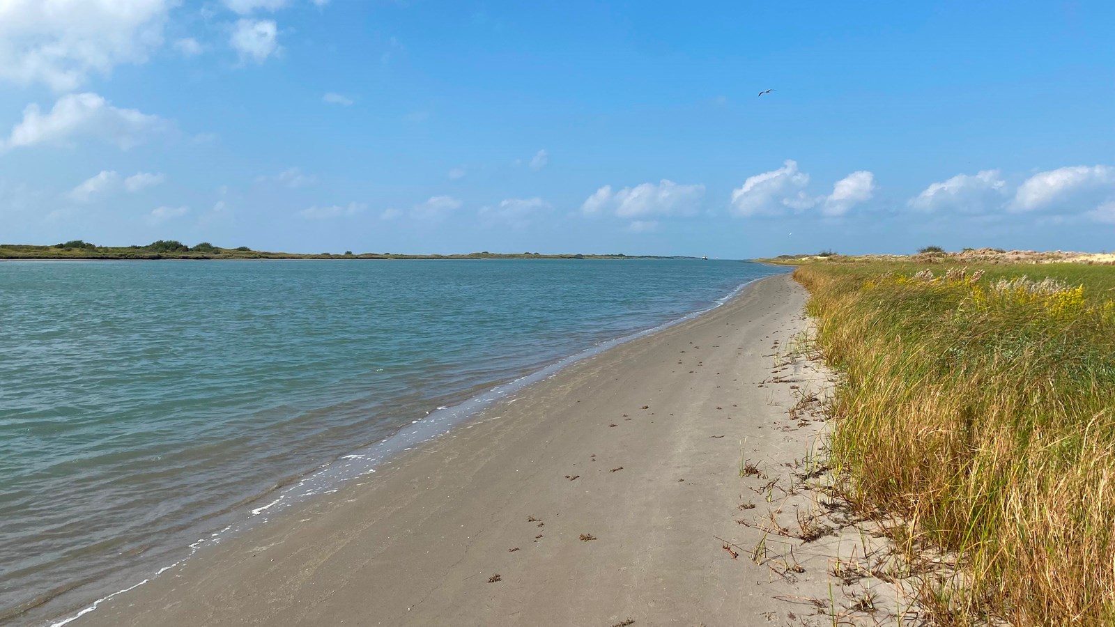 A blue body of water with sand and grass along its banks. 