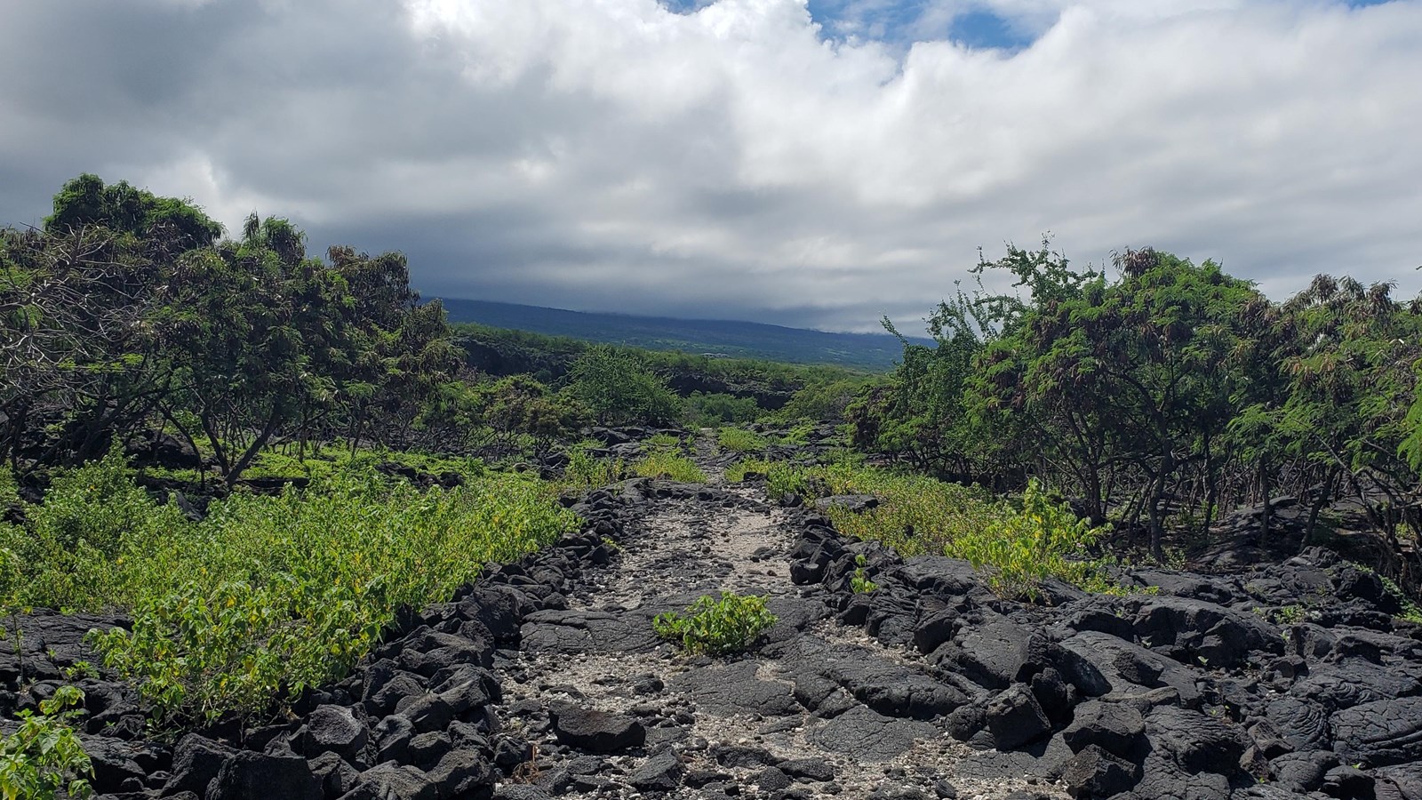 A white sand and lava rock trail extends ahead with green vegetation lining each side.