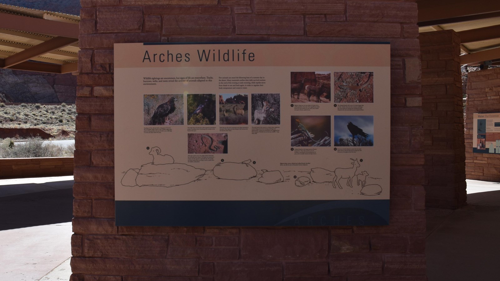 Panel that describes the variety of wildlife found in the park with pictures of the animals..