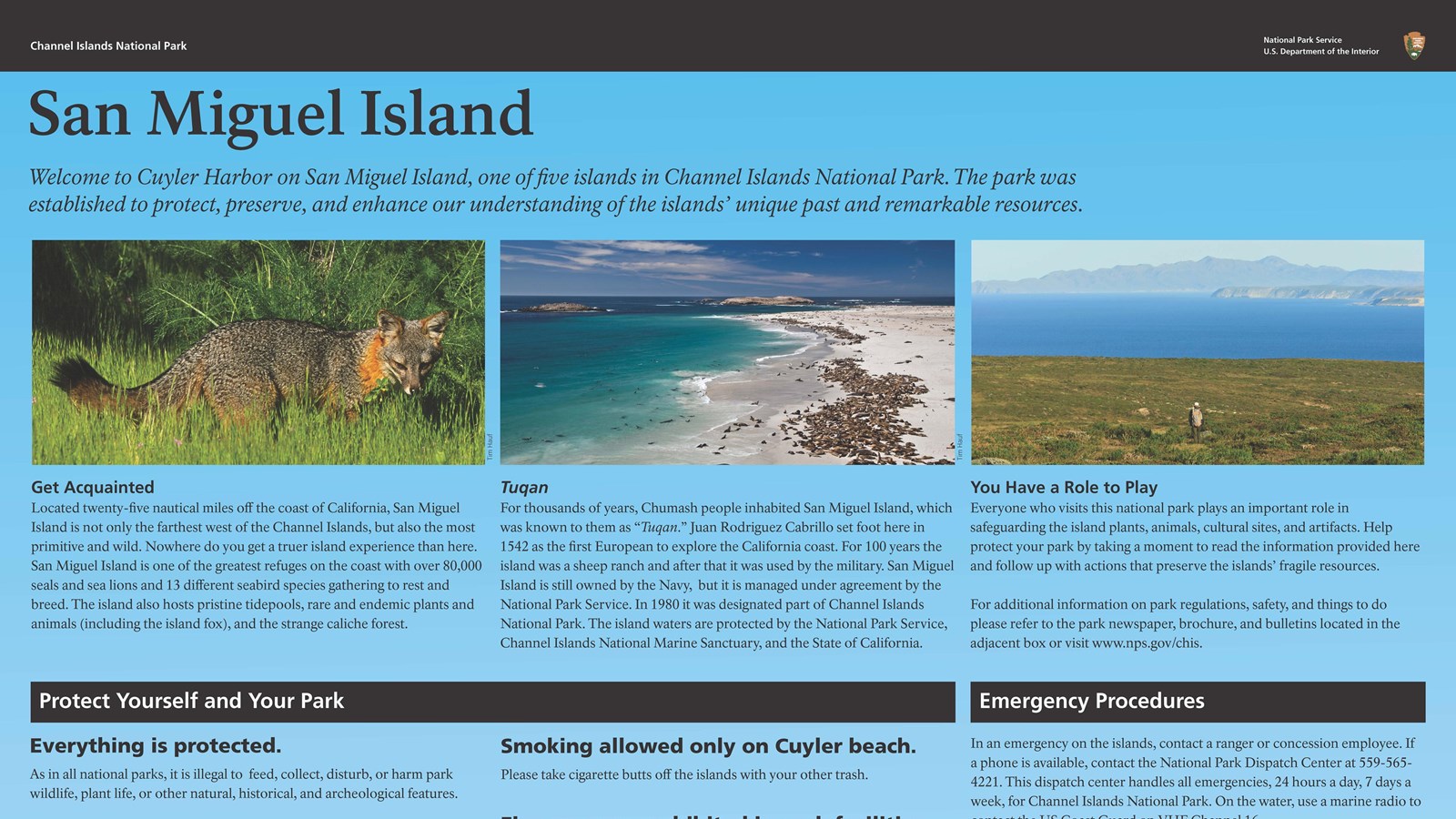 Image of graphic sign audio described in details section.