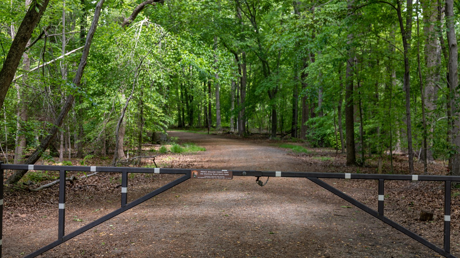 A gate stands in front of a dirt trail in the woods