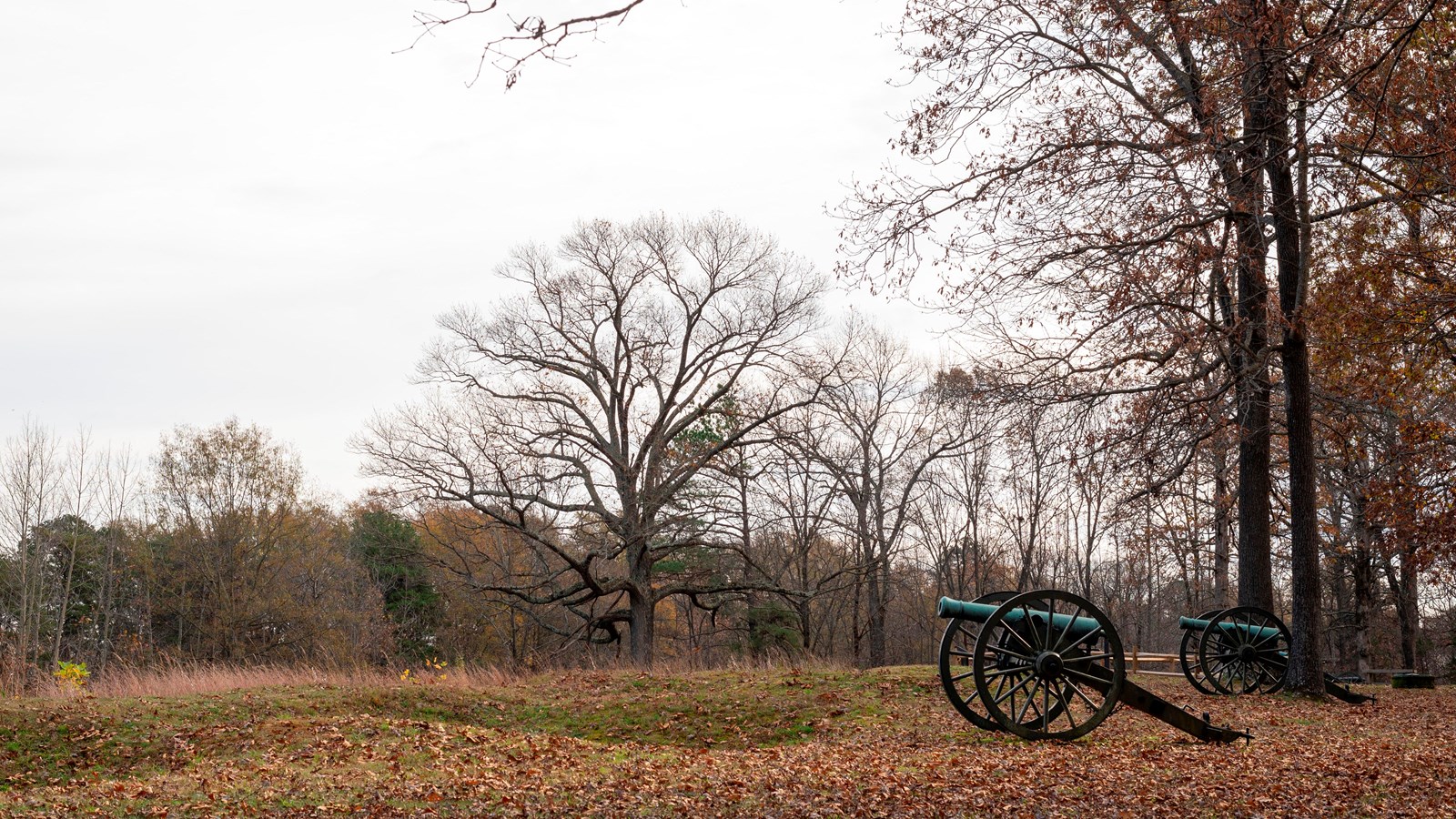 Cannons line the edge of an open field in the winter.