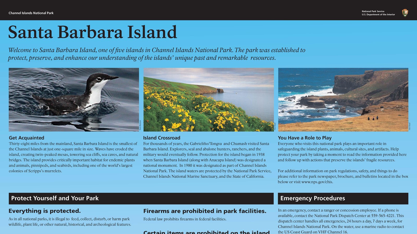 Image of graphic sign audio described in details section. 