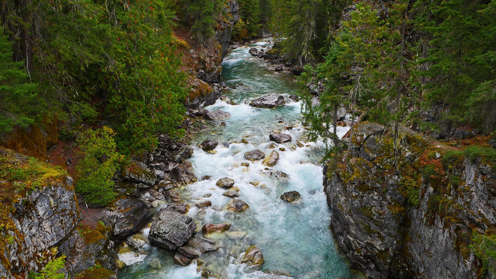 A green river rushes through a tree-line gorge