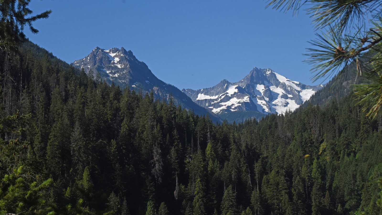 Two gray mountain peaks rise from a forested valley. One mountain is partially covered in glaciers