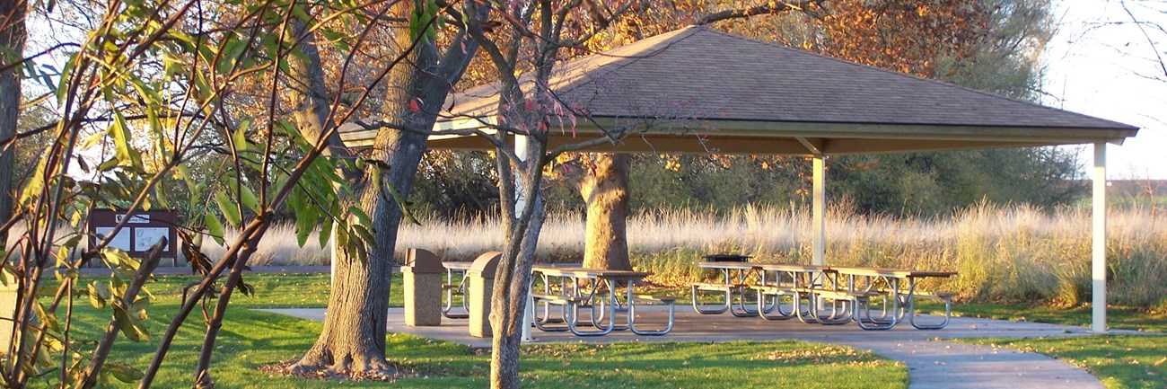 Picnic shelter surrounded by trees and grass