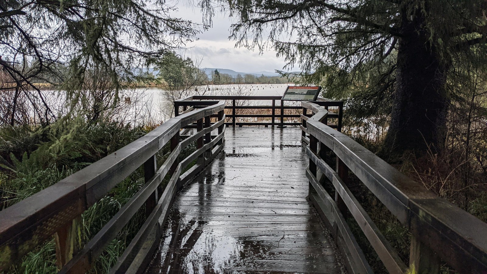 Wet with rain, a boardwalk leads out to the edge of a river surrounded by trees