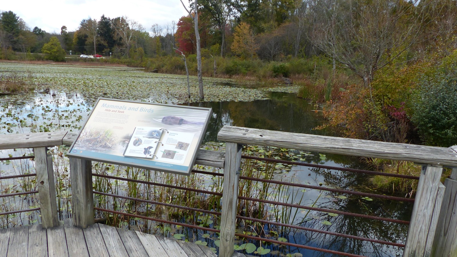 Exhibit with a flipbook mounted to the wooden railing of a boardwalk overlooking a marsh.