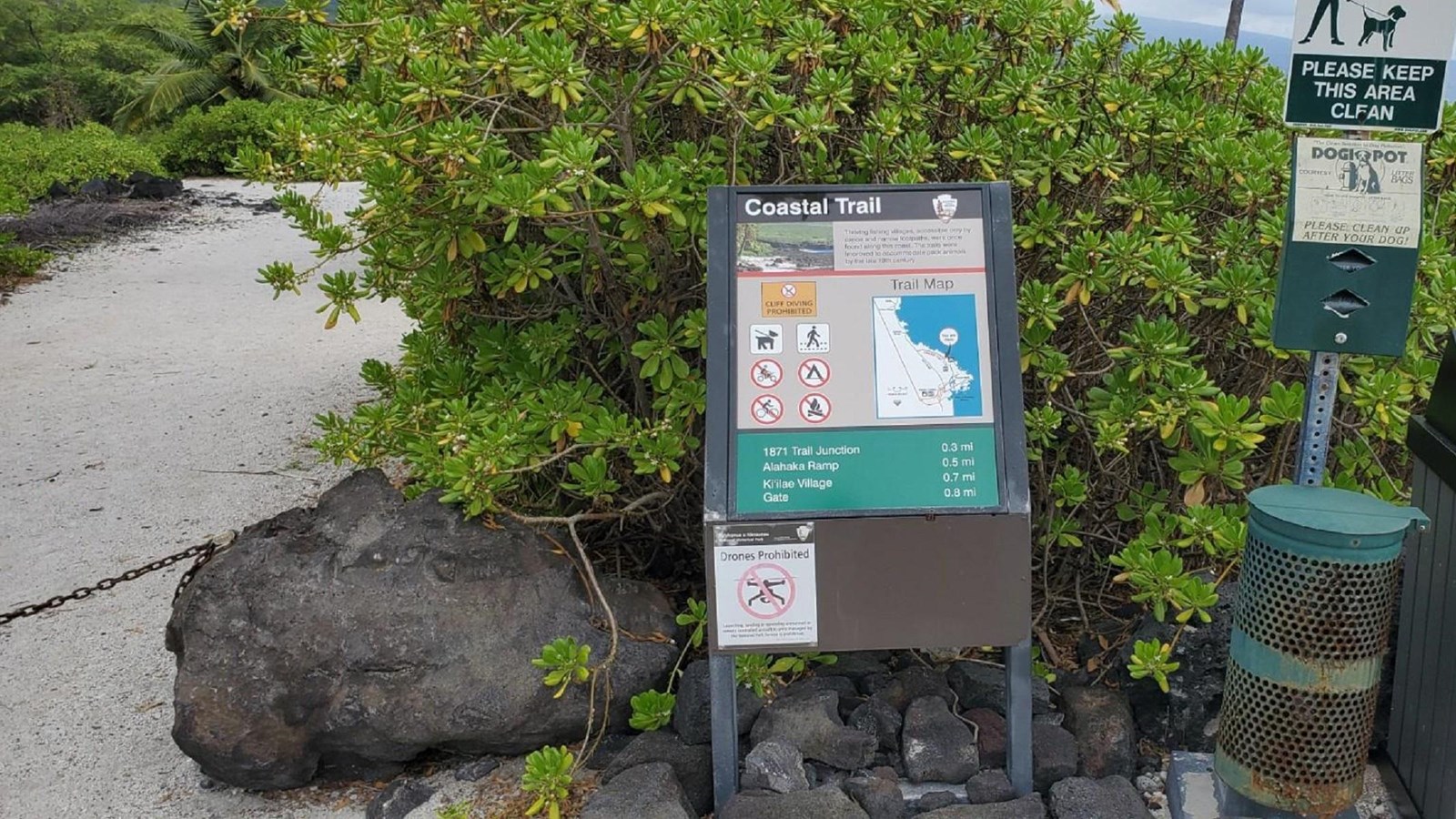 A sandy path extends out ahead with a trailhead sign, pet waste station, and trash bin on the right.