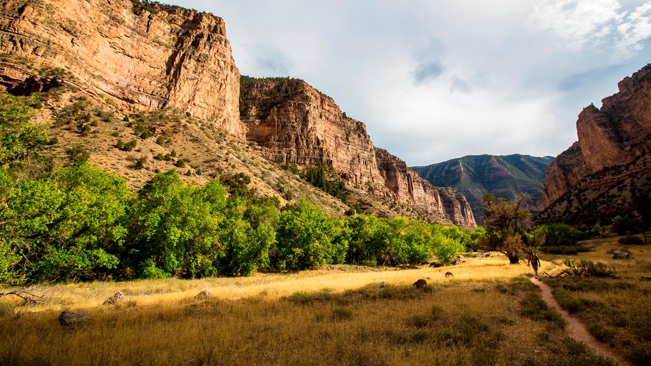 A hiker walks on a trail through golden colored grass as tall cliffs rise on both sides.