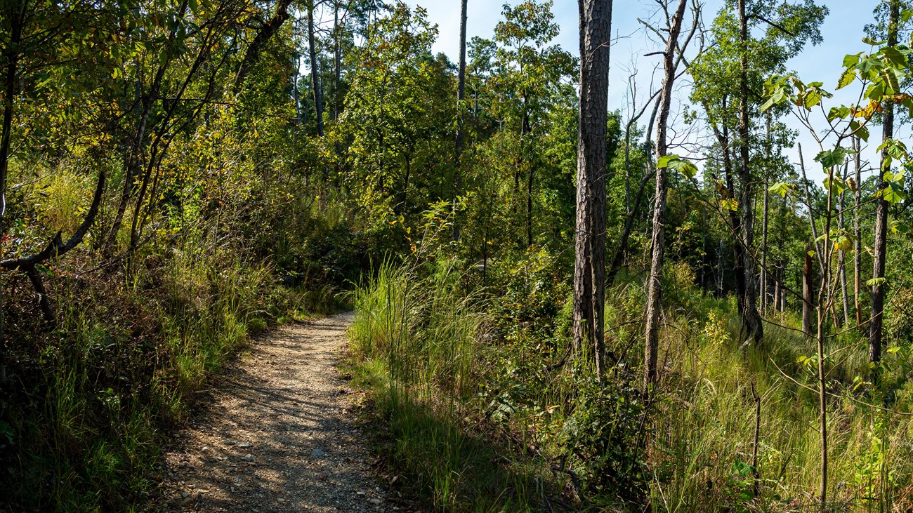A packed gravel path leads through a forested hillside.