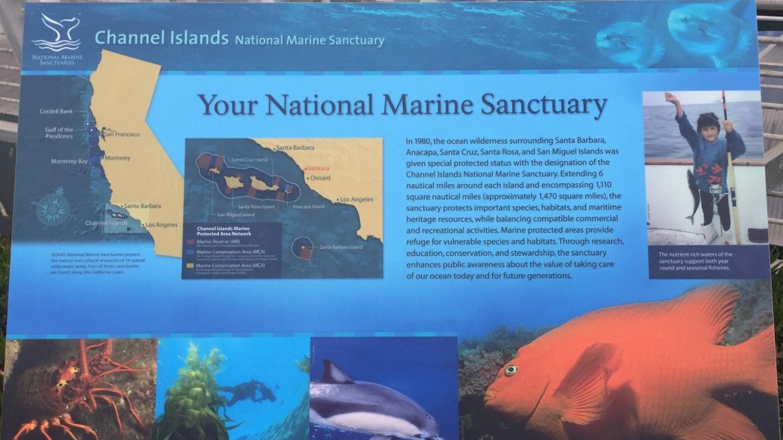 Image of graphic sign audio described in details section. 