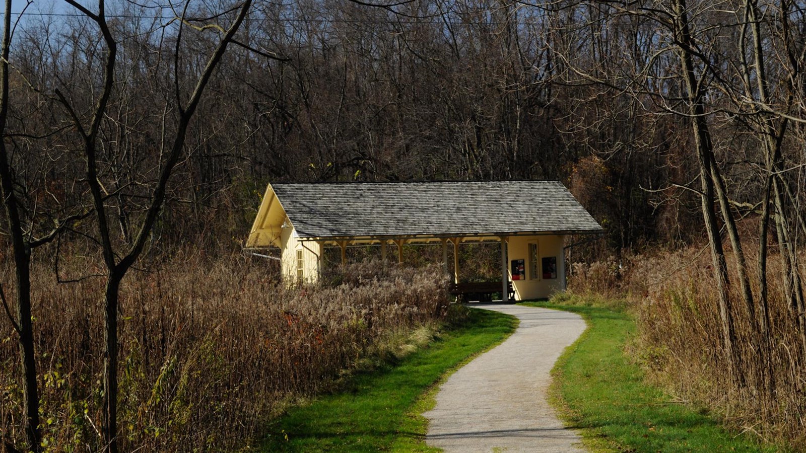 Gently curving path leads through tall plants to a yellow station with open sides and woods beyond.