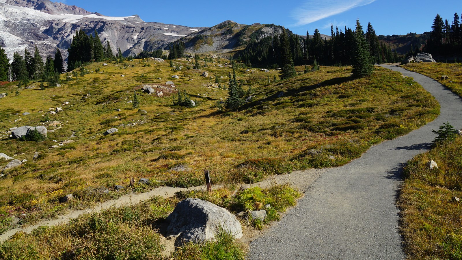 A small dirt trail branches off from a larger paved trail in a subalpine meadow.