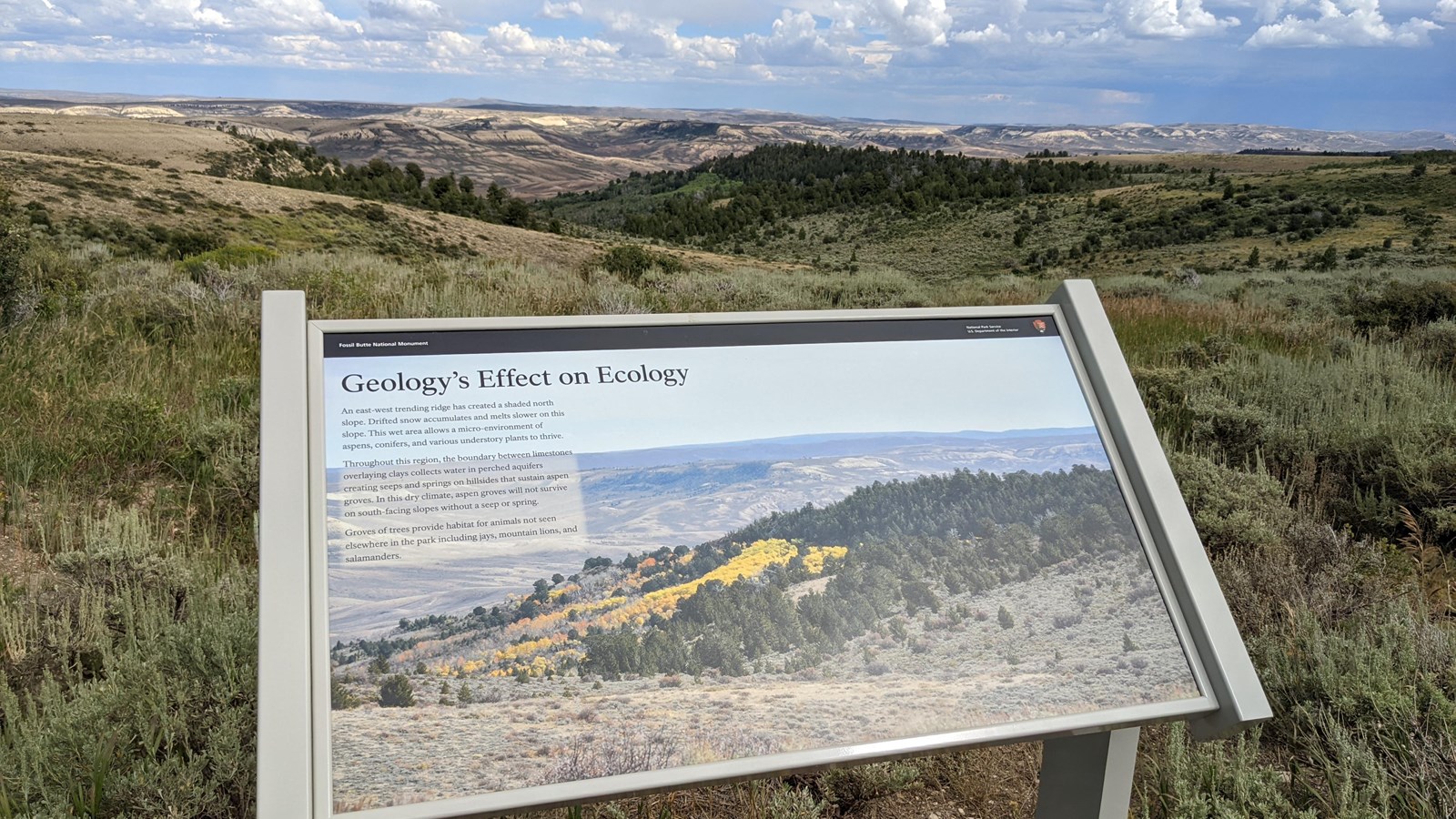 A sign with a picture of the view behind of trees on hills and ridges beyond. Some trees are yellow.