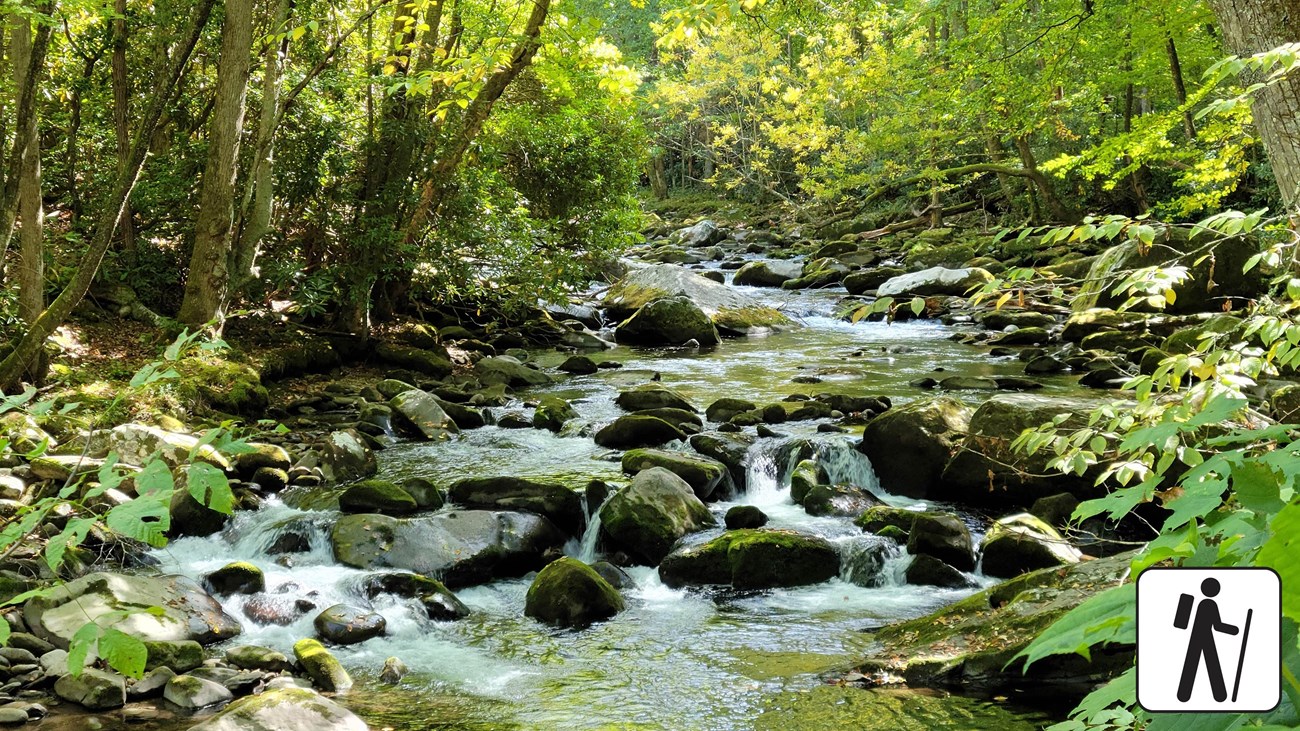 A rocky river in the forest with a hiker icon at the bottom of the page.