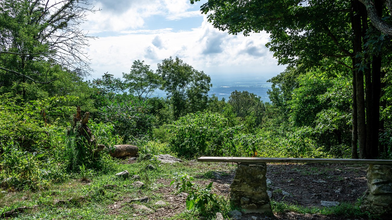 A wooden bench overlooking a view from a forested mountaintop. 