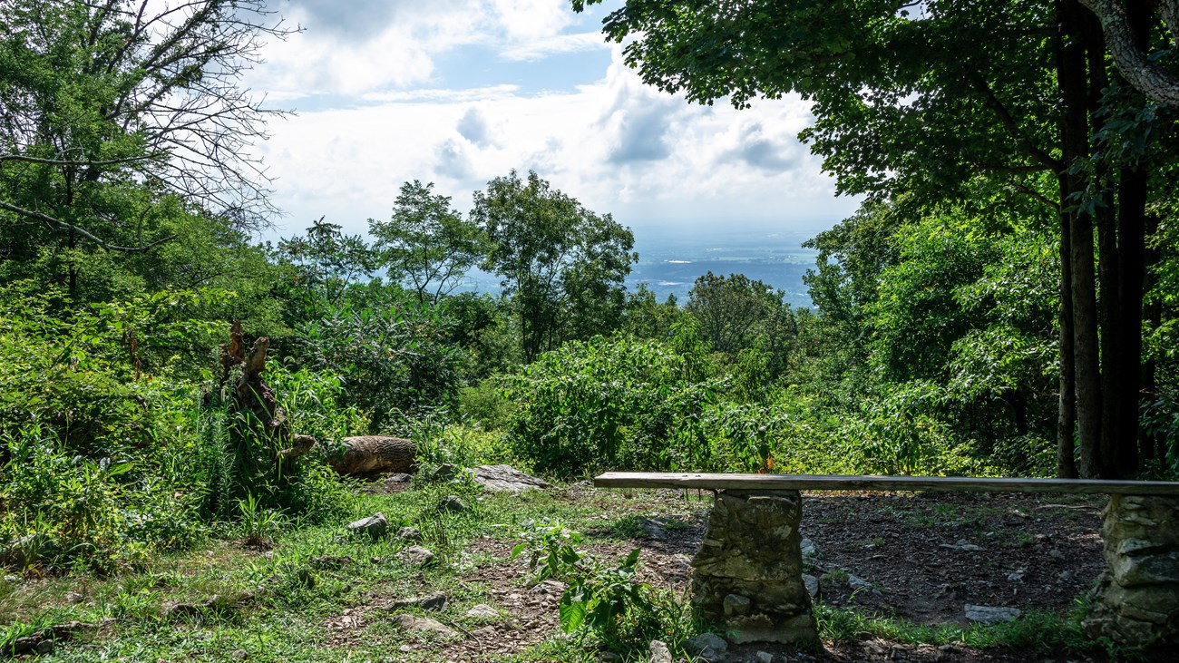 A wooden bench overlooking a view from a forested mountaintop.