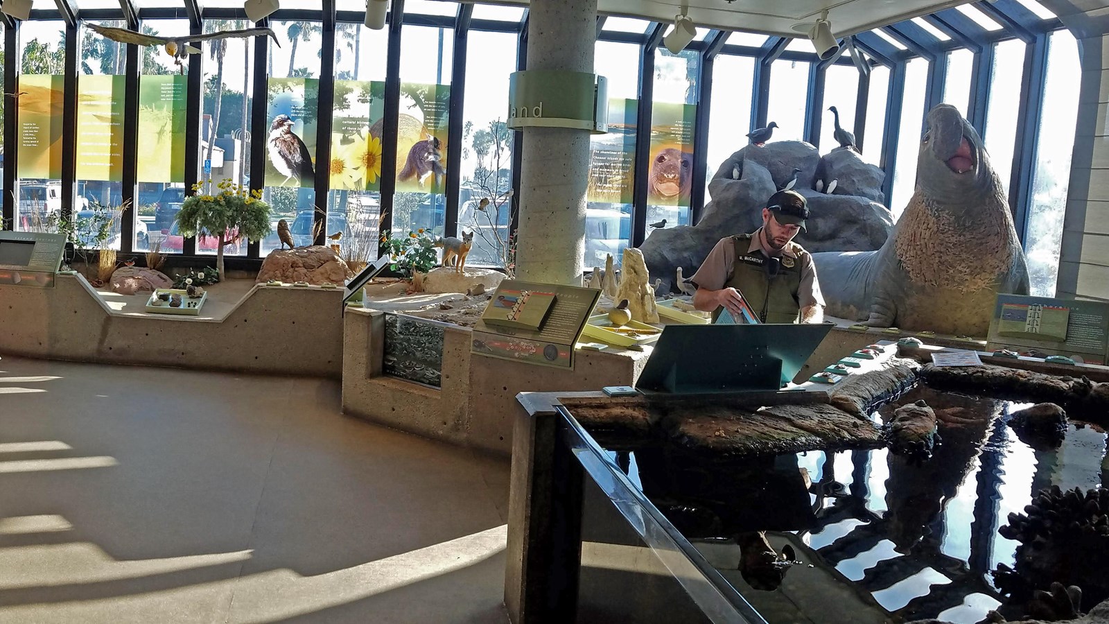 atrium with small aquarium and plants and animal models.