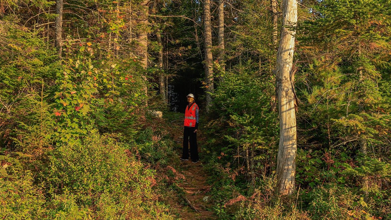 A hiker wearing a blaze orange vest stands on a trail in the middle of a dense forest.