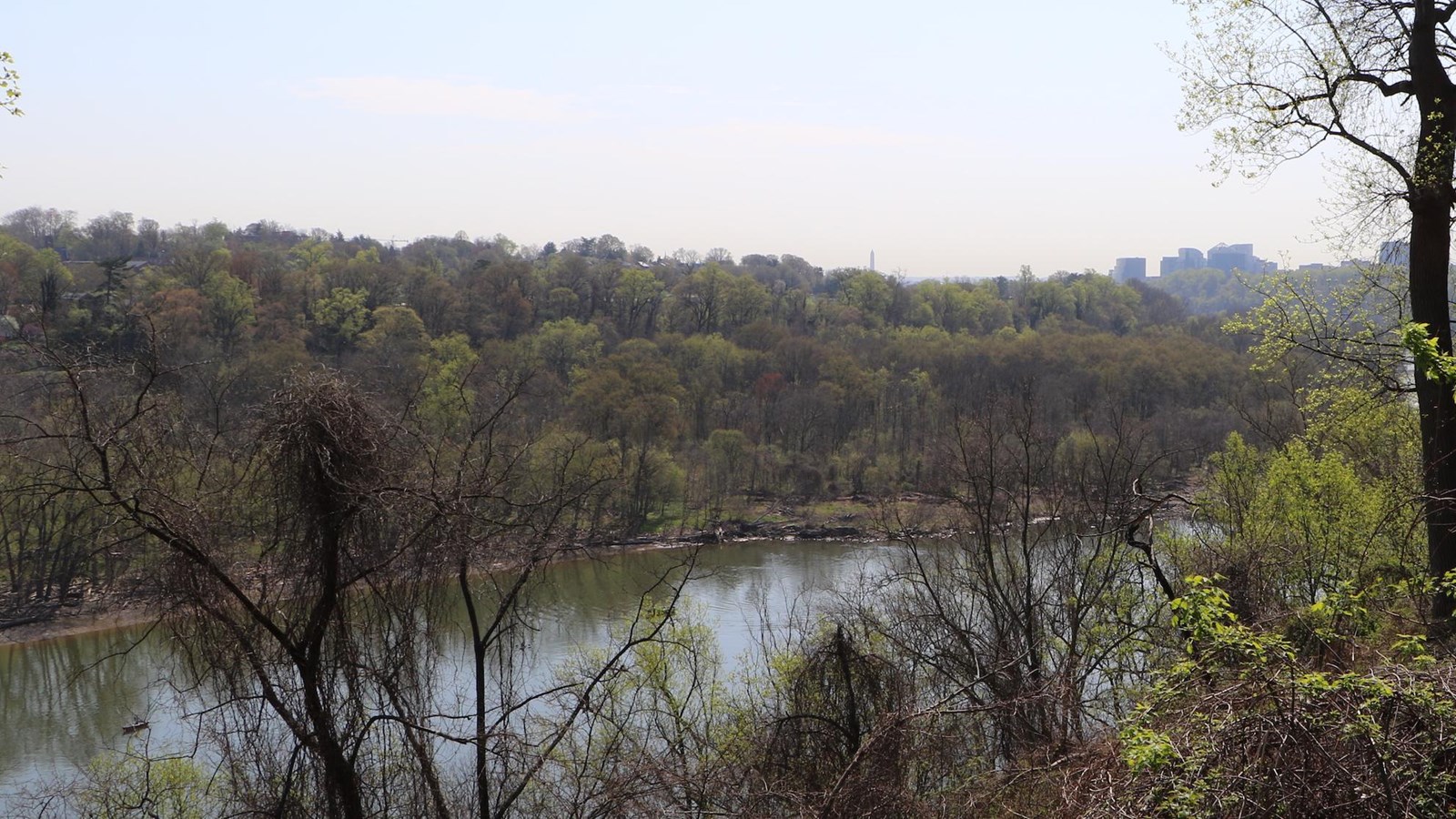 View of a river, trees, and Washington Monument in the far distance.