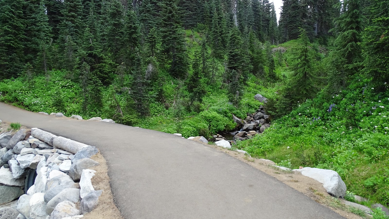 A paved trail crosses over a rocky creek surrounded by trees and lush meadow