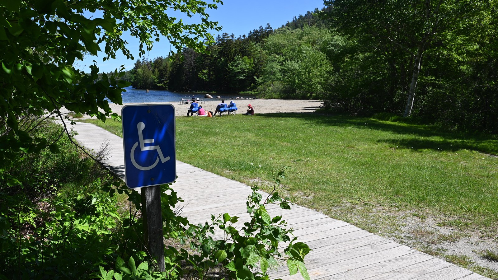 Wooden ramp through grass, and a blue sign with a wheelchair symbol at the start of the ramp.