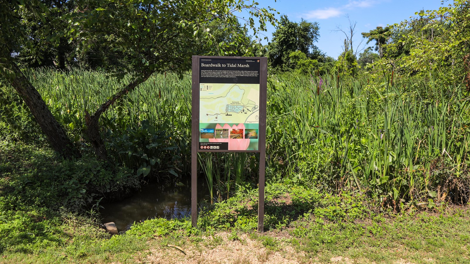 A map of Kenilworth Aquatic Gardens shows where each pond is positioned.
