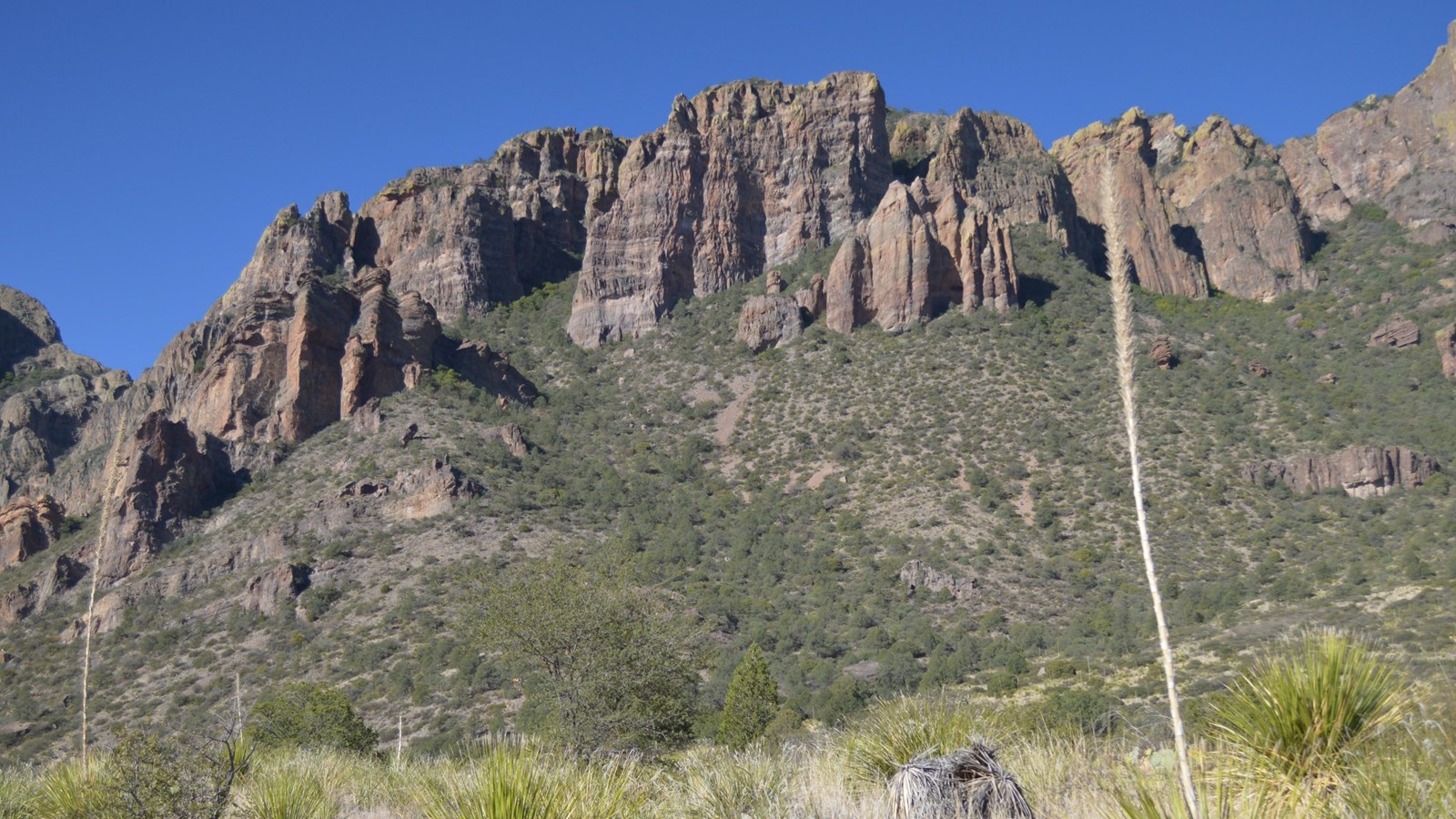 Pine Canyon Trail