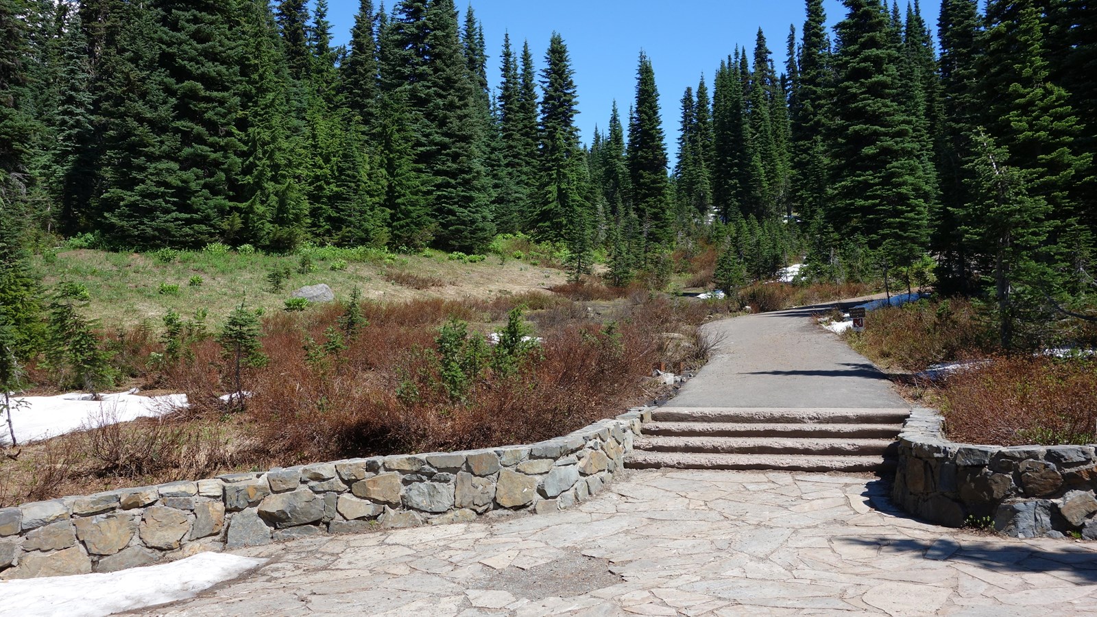 A set of steps and a paved trail climbs through subalpine forest and patches of meadow.